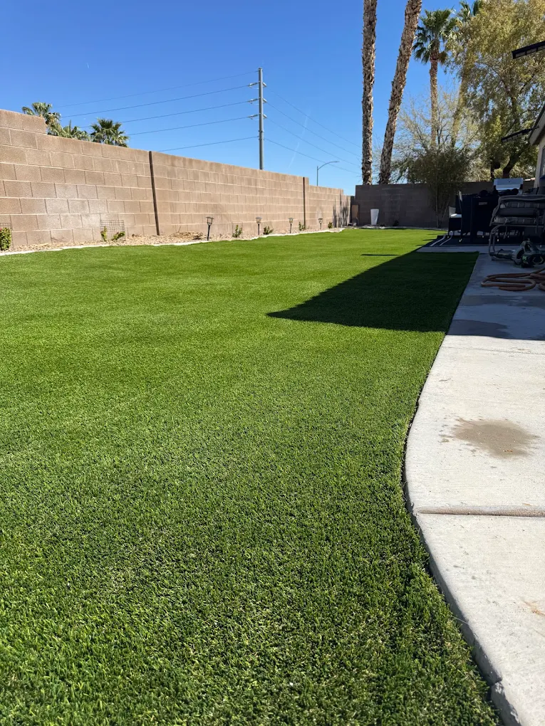 Henderson backyard with palm trees and wall backdrop showing turf and decomposed granite landscape elements