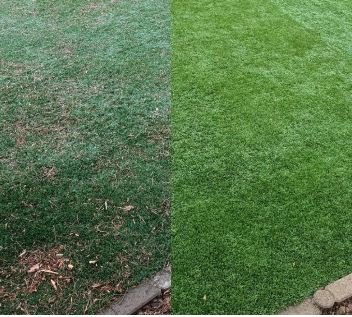 Side-by-side showing artificial turf before and after professional sanitization