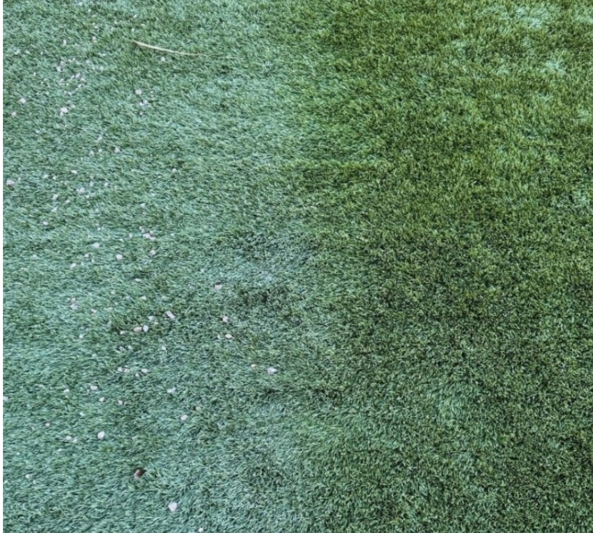 Side-by-side comparison of turf infill before and after a thorough debris cleaning in Henderson