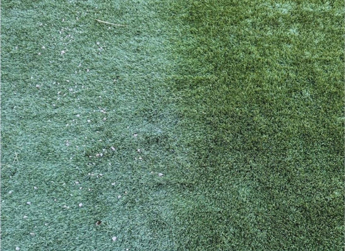 Detailed before and after comparison of properly maintained artificial turf in Henderson