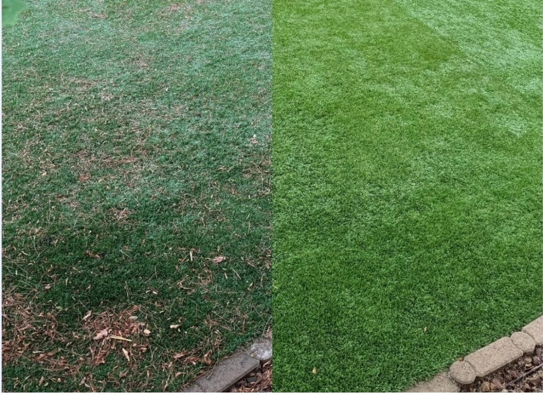 Before and after mold removal and restoration of artificial turf in Henderson