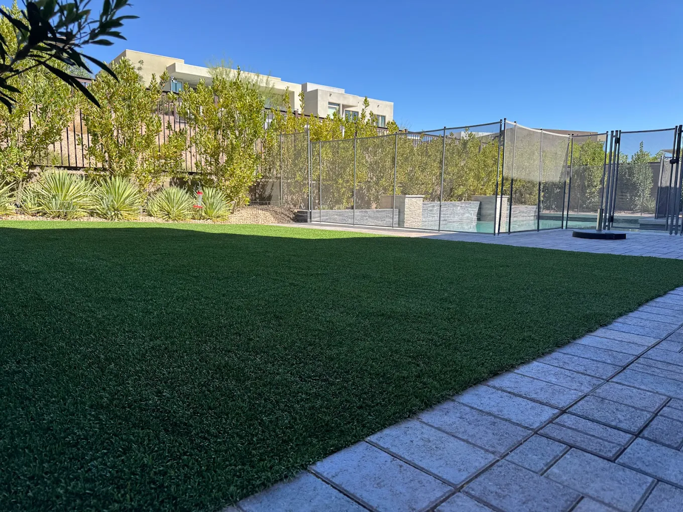 Large artificial turf play area at a Henderson commercial pet daycare facility