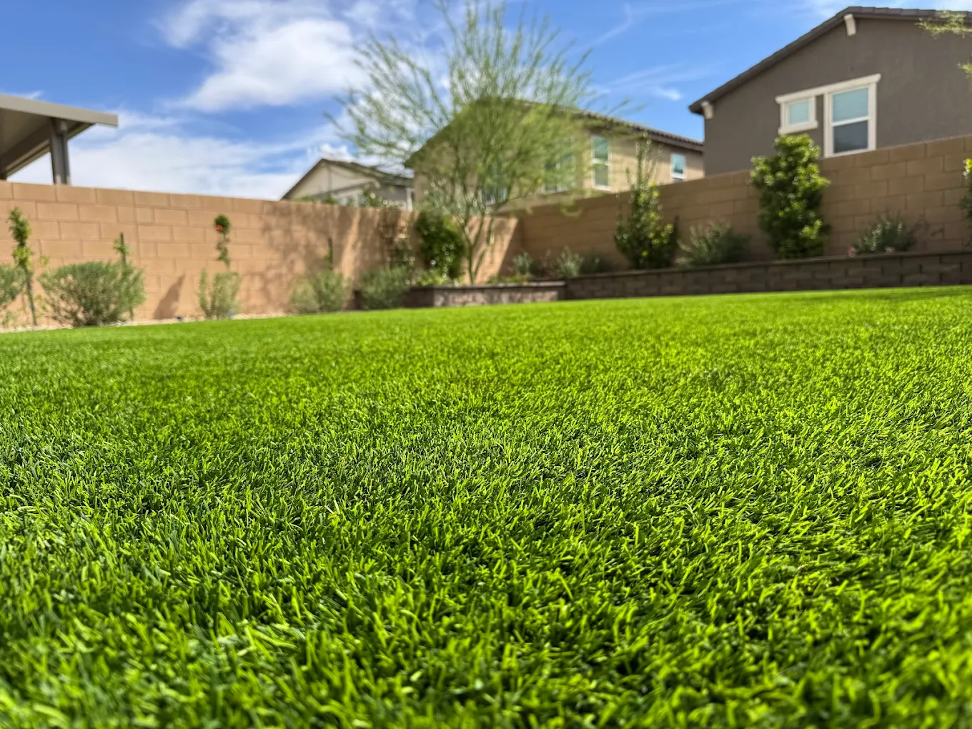 Well-maintained commercial turf fibers up close at a Henderson business property