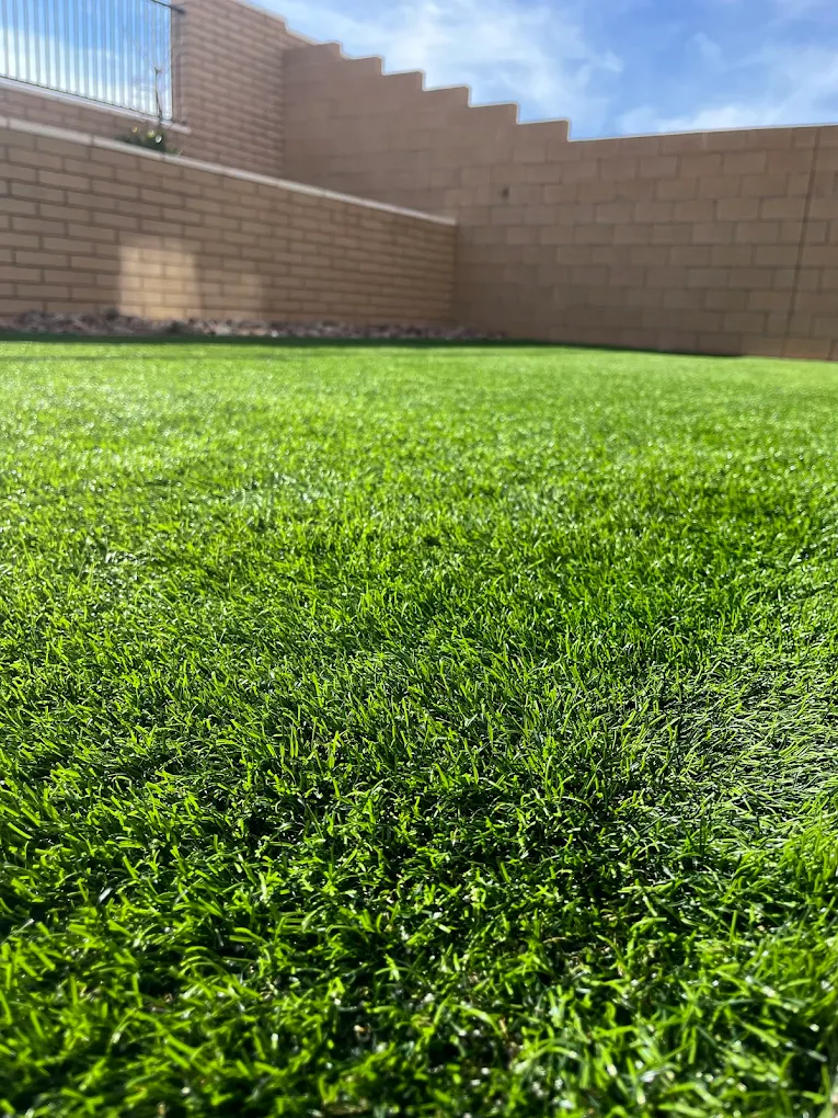 Close-up of clean artificial turf in Henderson