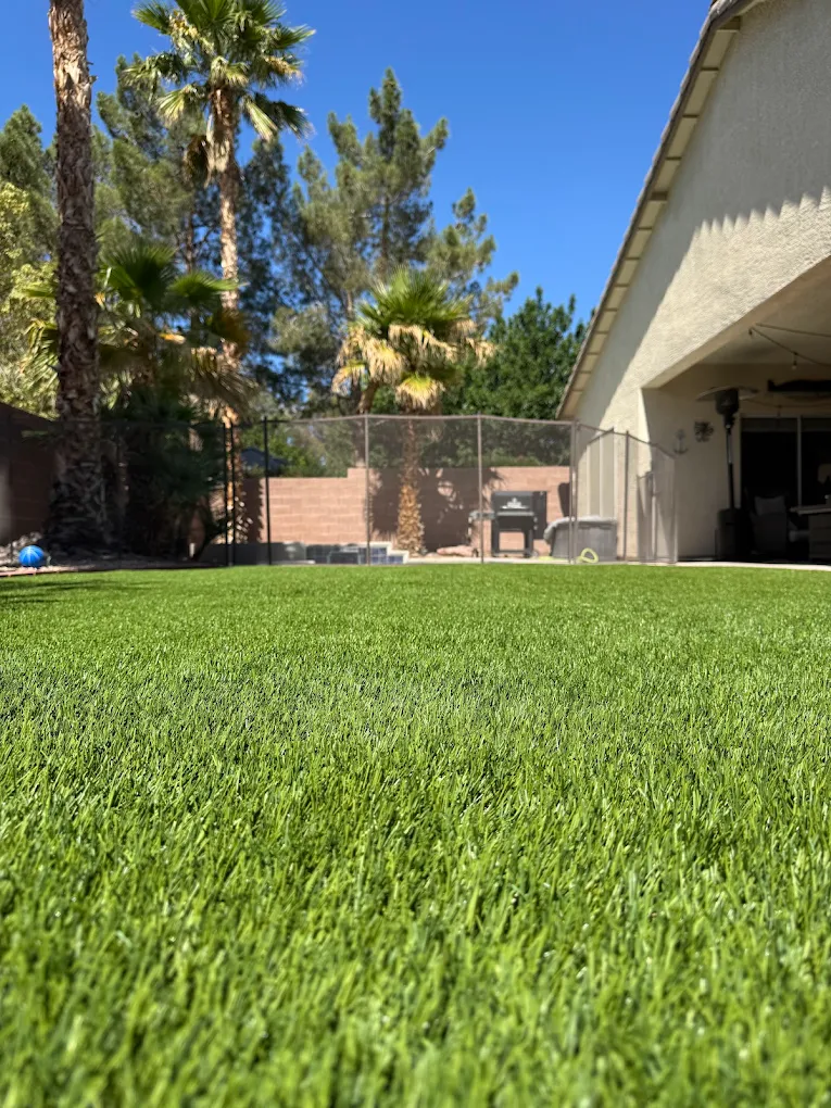 Ground-level view of professionally cleaned artificial turf in Henderson