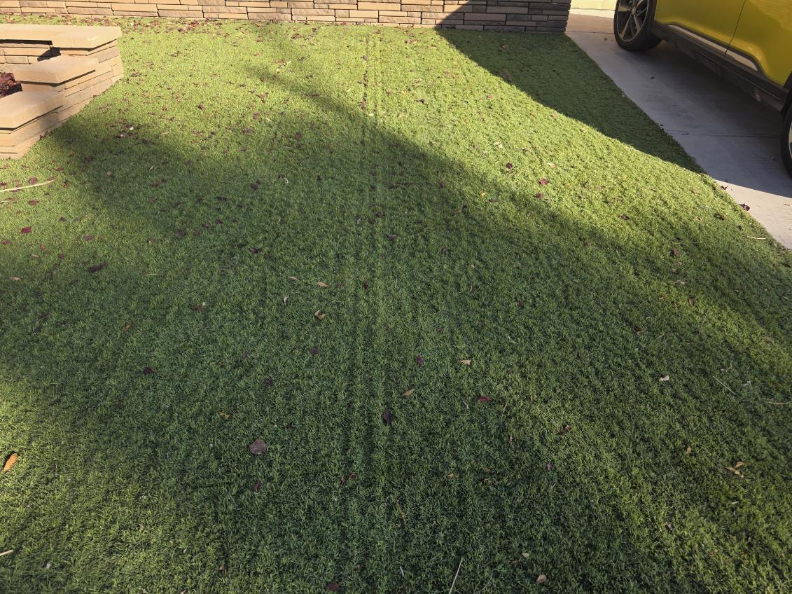 Matted and flattened artificial turf fibers needing restoration in Henderson