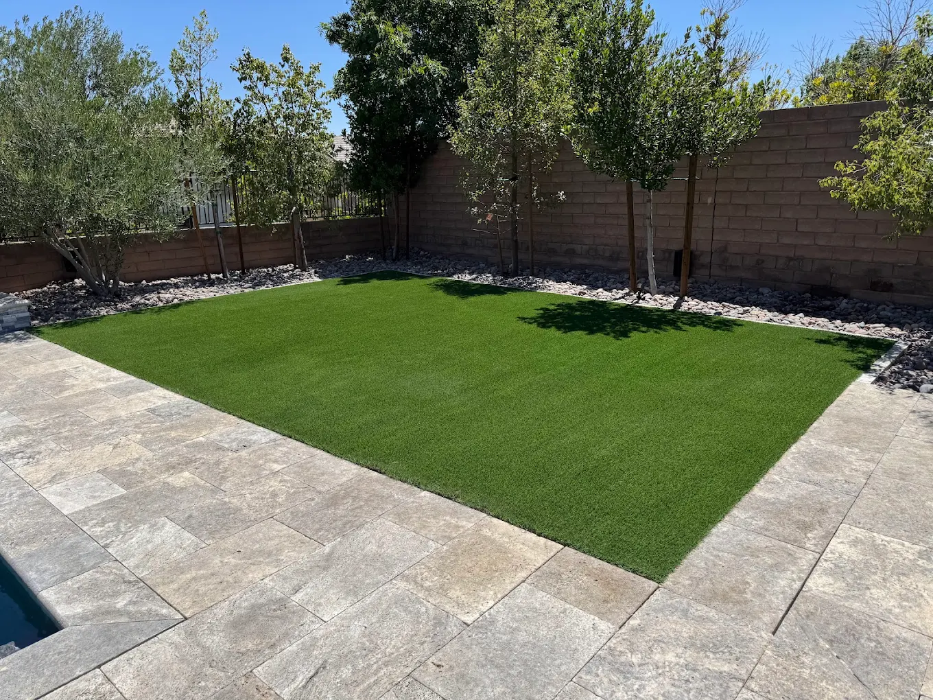 Artificial turf with clean paver border meeting Henderson building standards